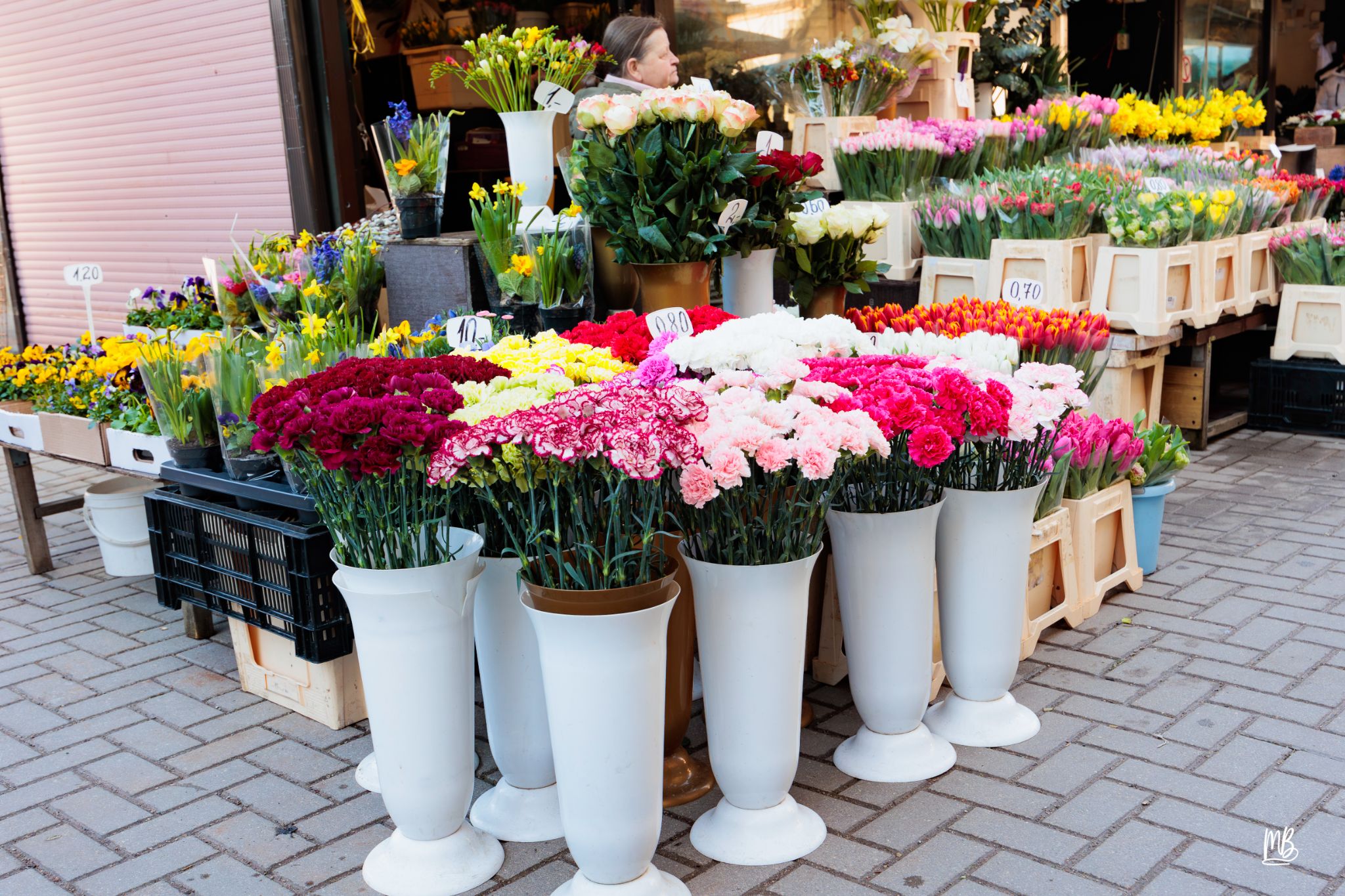 2024   Riga   MB 246